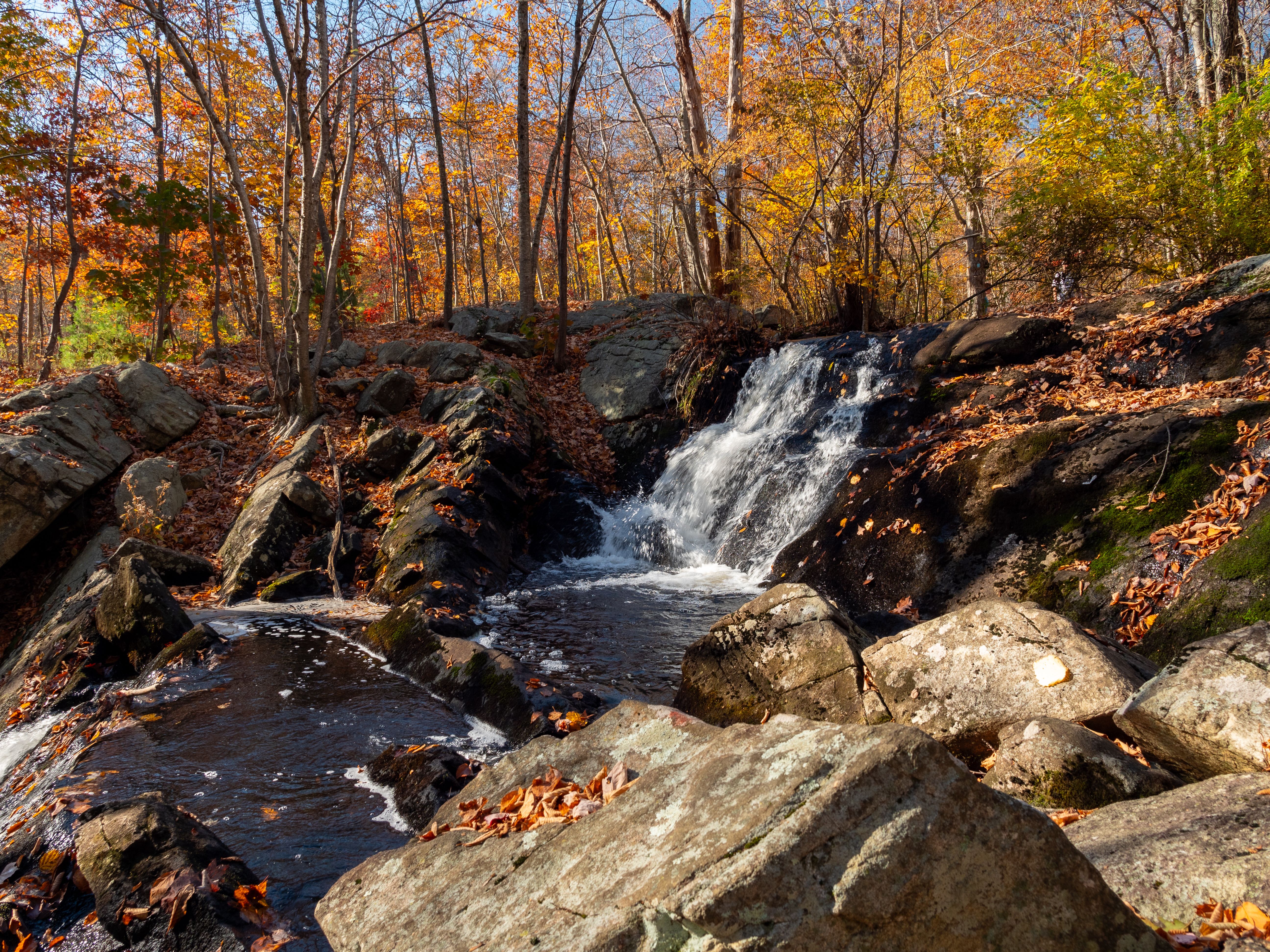 Gov. Spanberger appoints Virginia’s first director of outdoor recreation — Photo by Gabriel Almanzar on Pexels