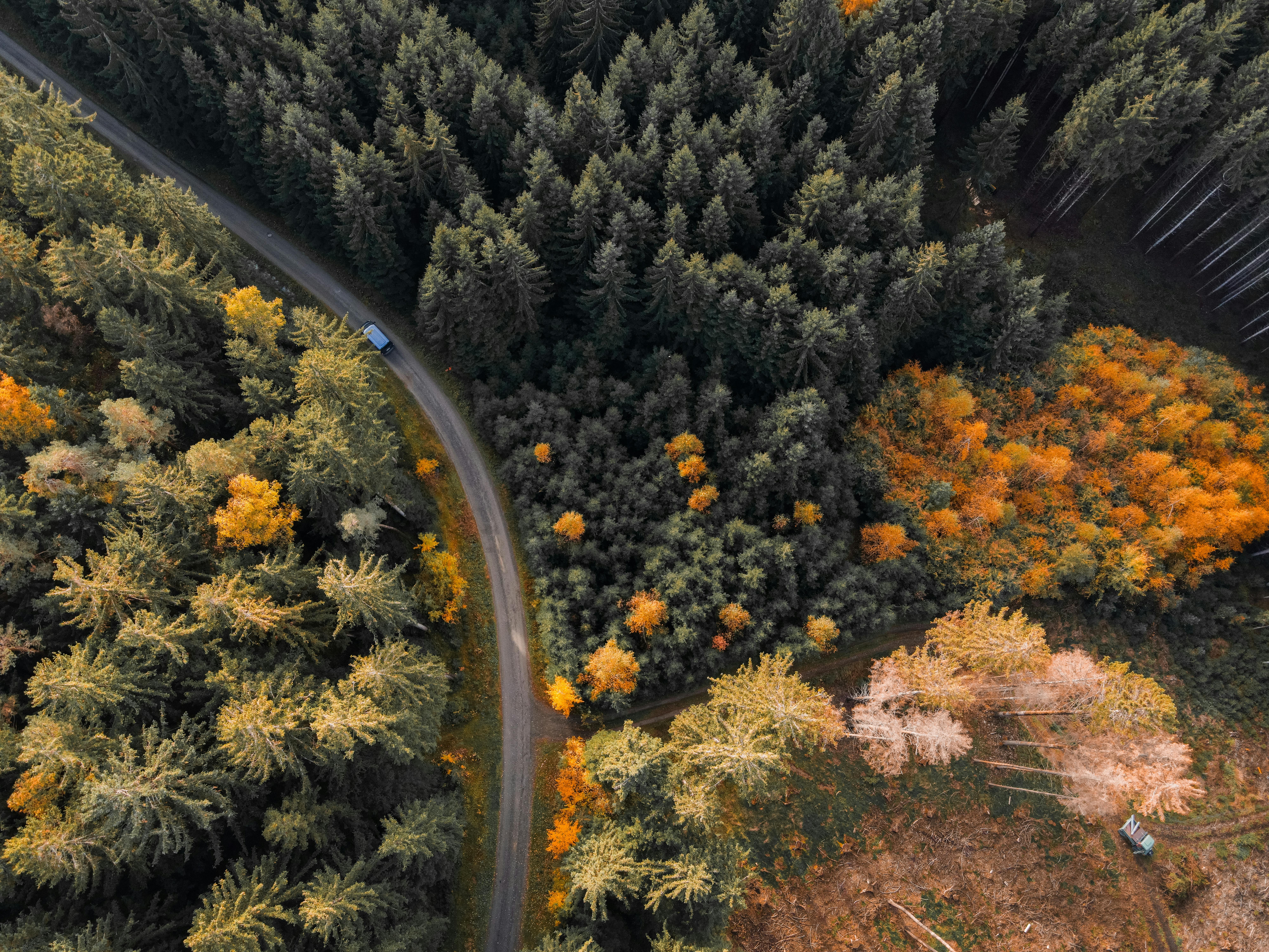 Stunning aerial shot of a vibrant autumn forest with a winding road in Bavaria, Germany.