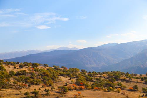 Trees and Hills in Countryside