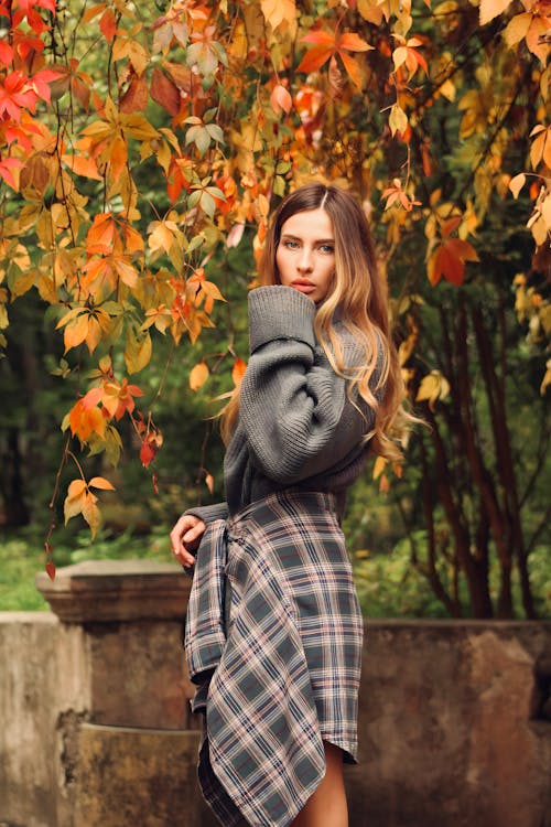 Fotobanka s bezplatnými fotkami na tému dlhé vlasy, farebný, hnedé vlasy