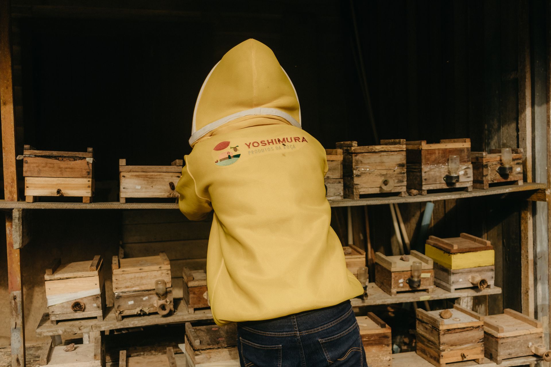 Back View of Working Beekeeper