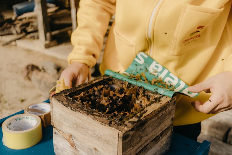 Close Up Of Beehiver In Beekeeper Hands