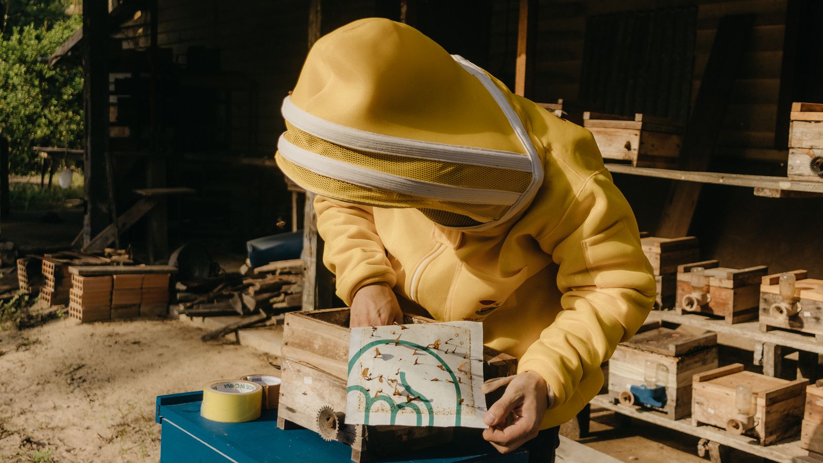 Beekeper in yellow suit opening a hive at a bee yard shed, Eswatini