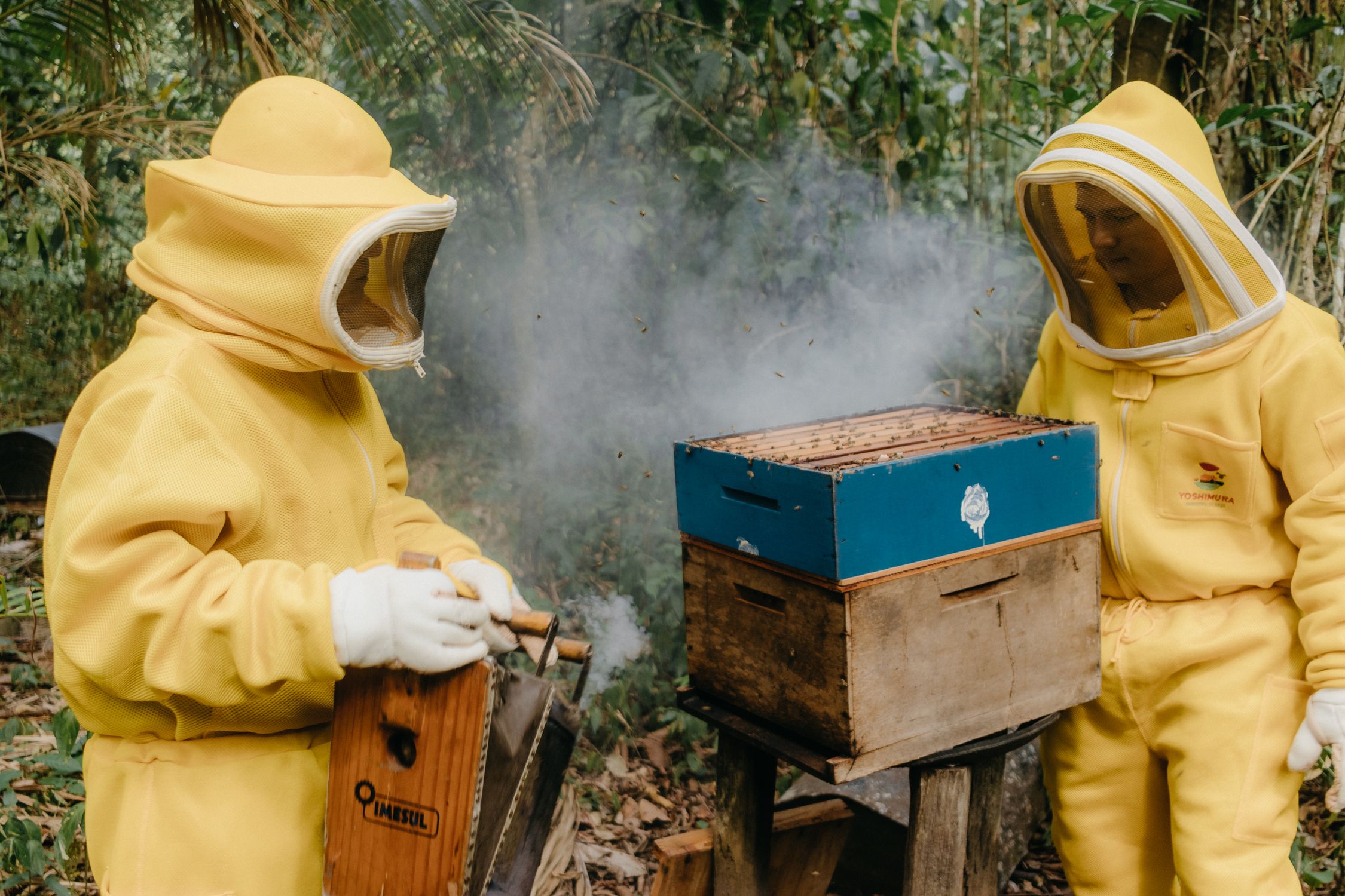 Two Beekeepers in Yellow Protective Suits Standing by a Bee Hive · Free ...