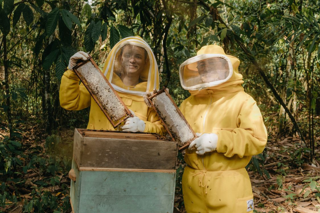 Honeybee Experience at Heritage Springs