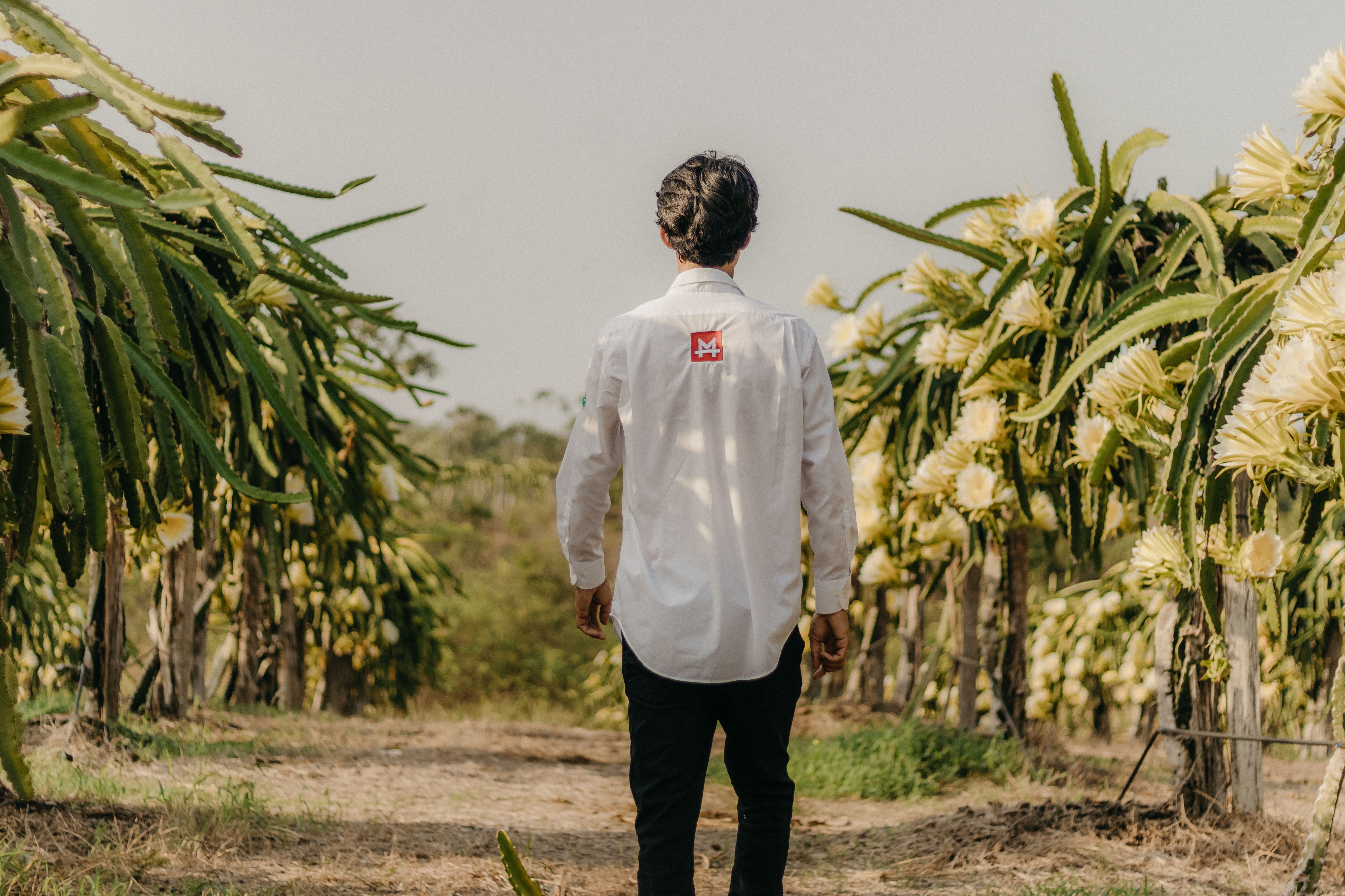 Chemise homme blanche : Top 15 modèles 2026