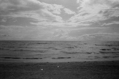 Waves and Beach on Sea Shore in Black and White