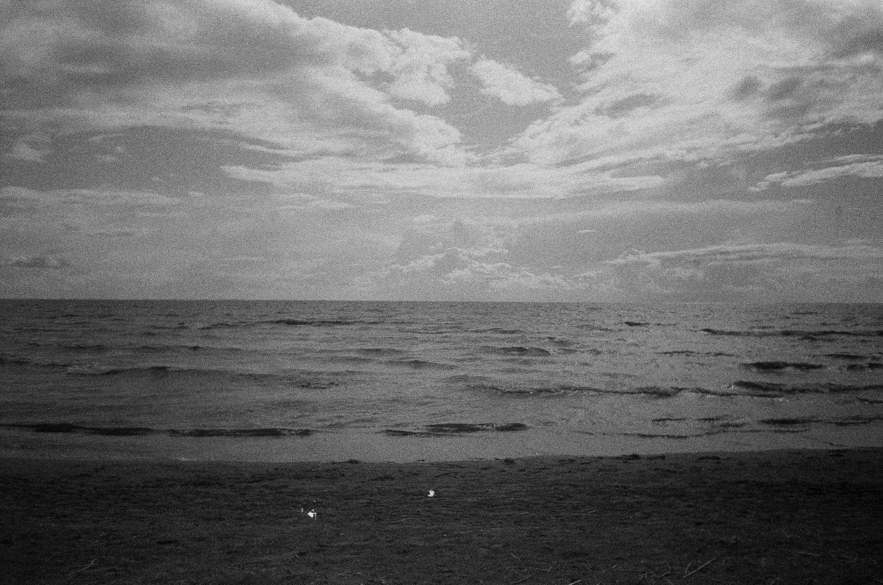 Beach and Sea Shore in Black and White · Free Stock Photo