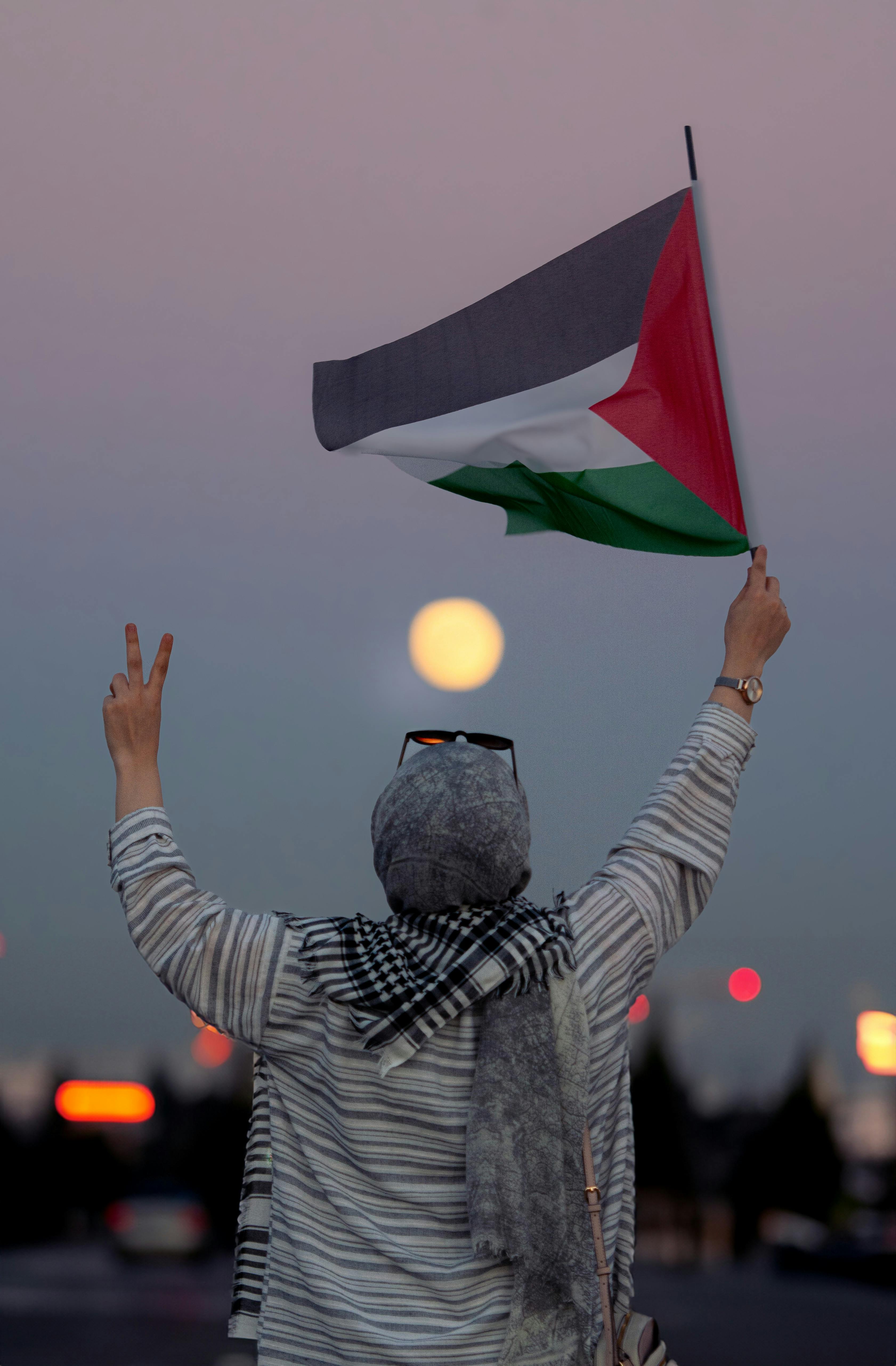 2.700+ Bandera Palestina Fotografías de stock, fotos e imágenes