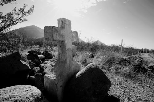Kostnadsfri bild av grav, kors, kyrkogård