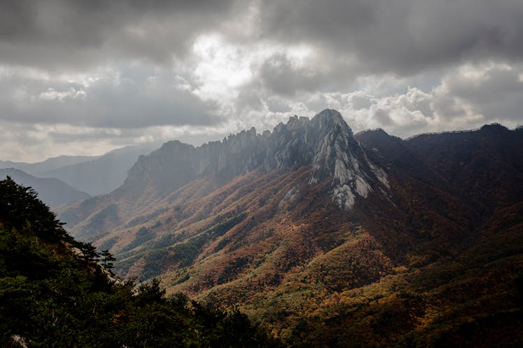 Valley And Forest Under Rocky Hill