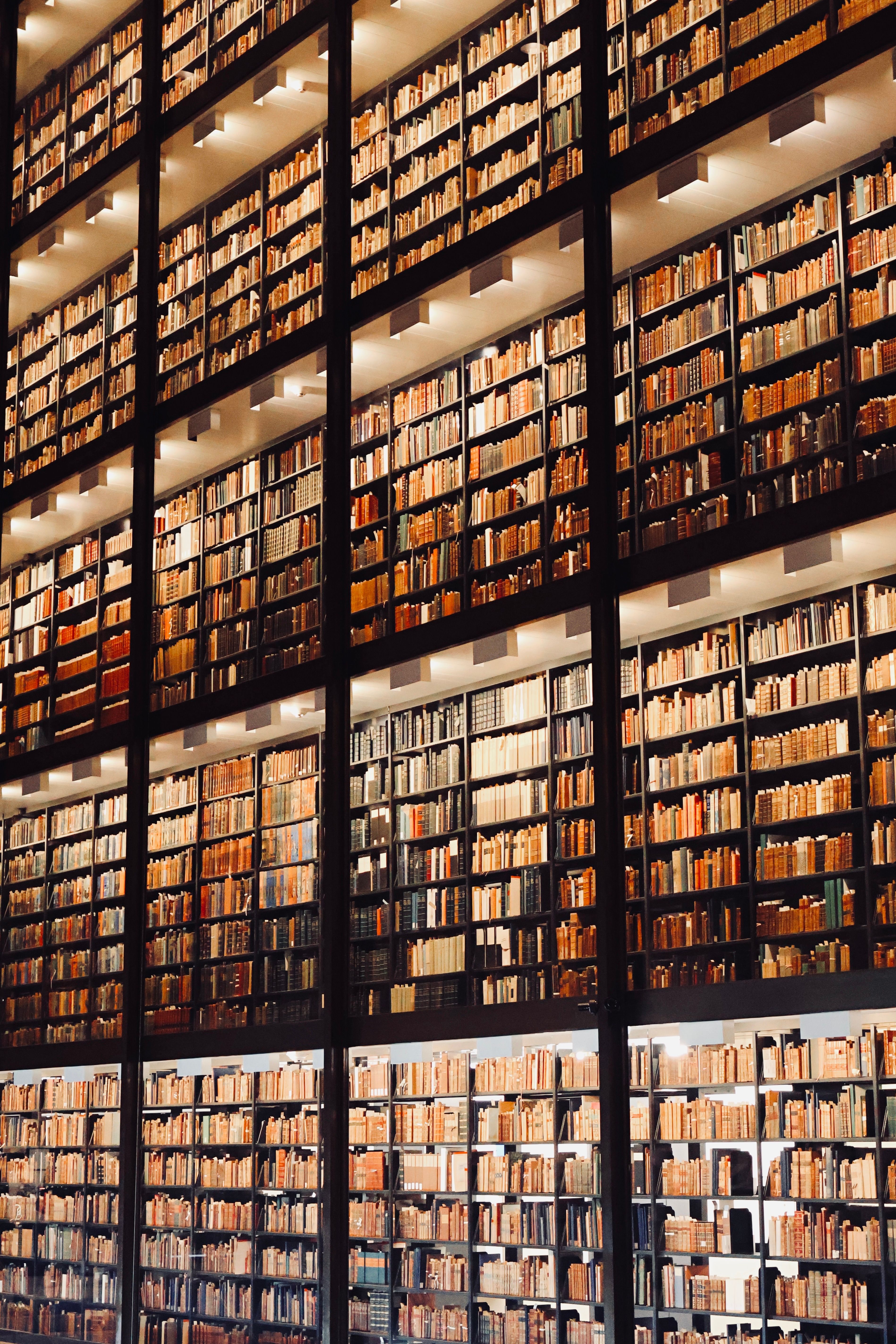 Books in a Library · Free Stock Photo