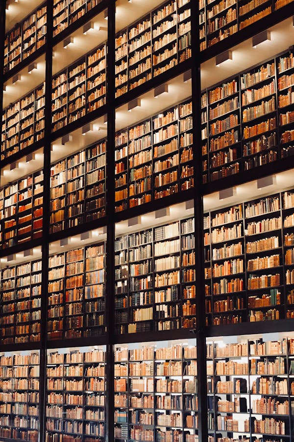 Books on Shelves in Library · Free Stock Photo