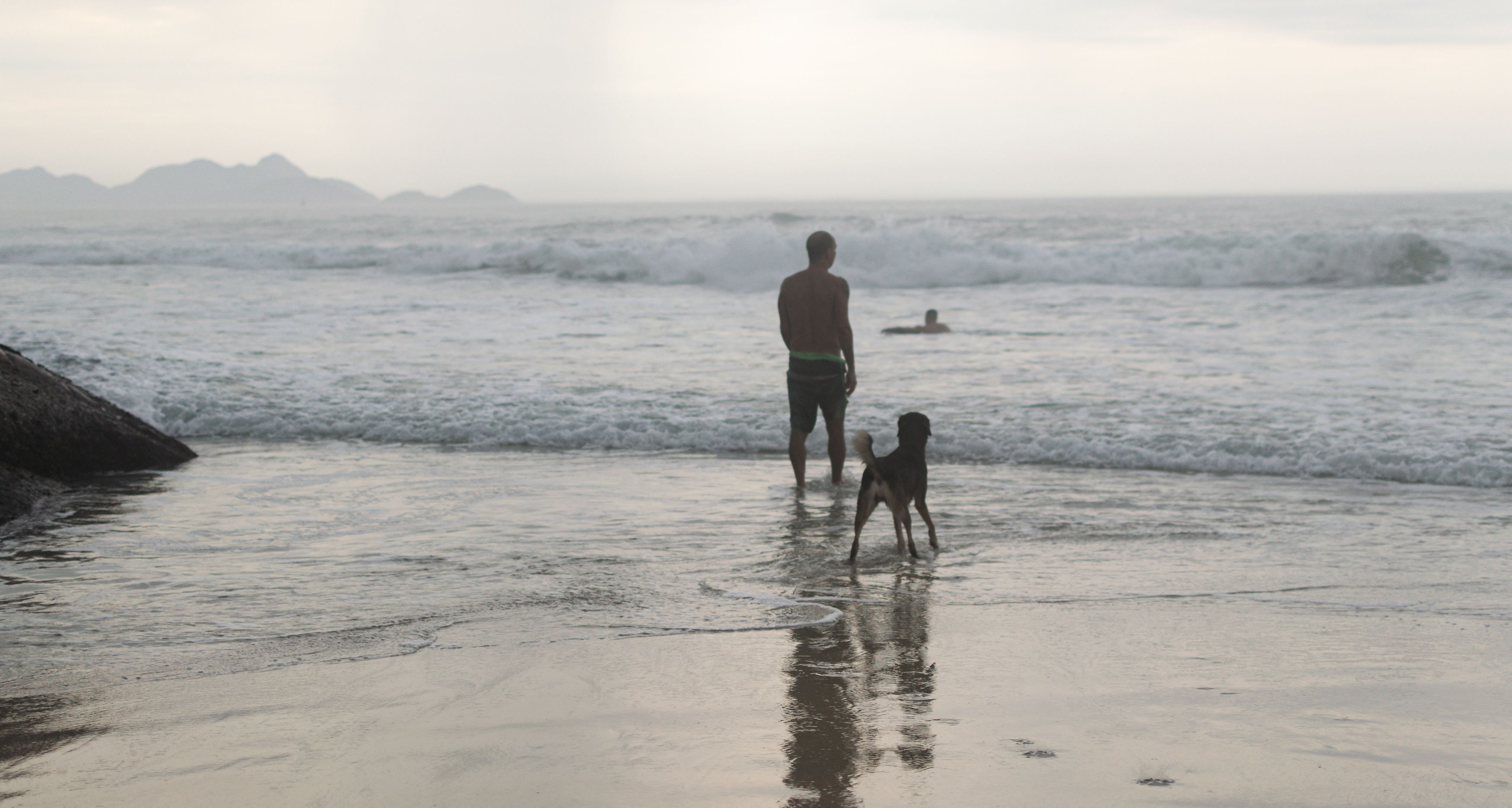 Tourist with a Dog Wading in Sea Water on the Beach · Free Stock Photo