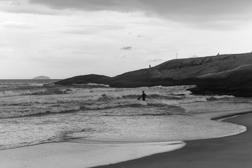 걷고 있는, 남자, 바다의 무료 스톡 사진