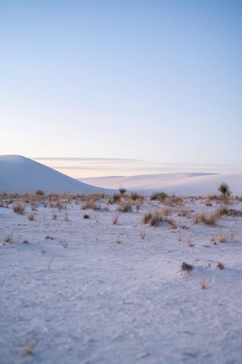 Základová fotografie zdarma na téma bílý písek, duny, krajina