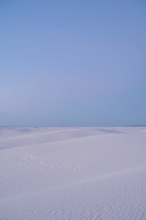 Ripples in Barren Sandy Desert