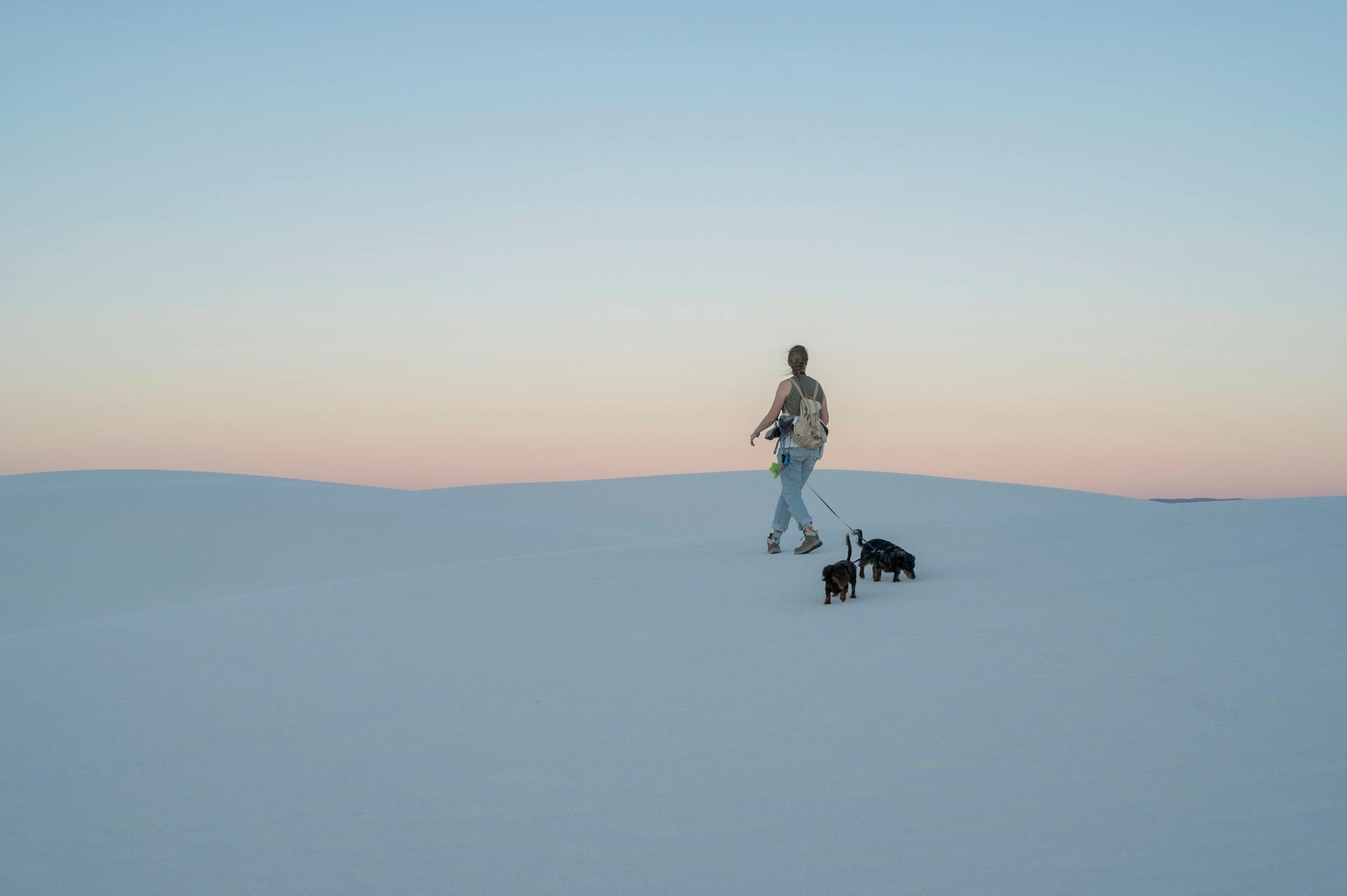 Woman with Dogs Walking on Dune