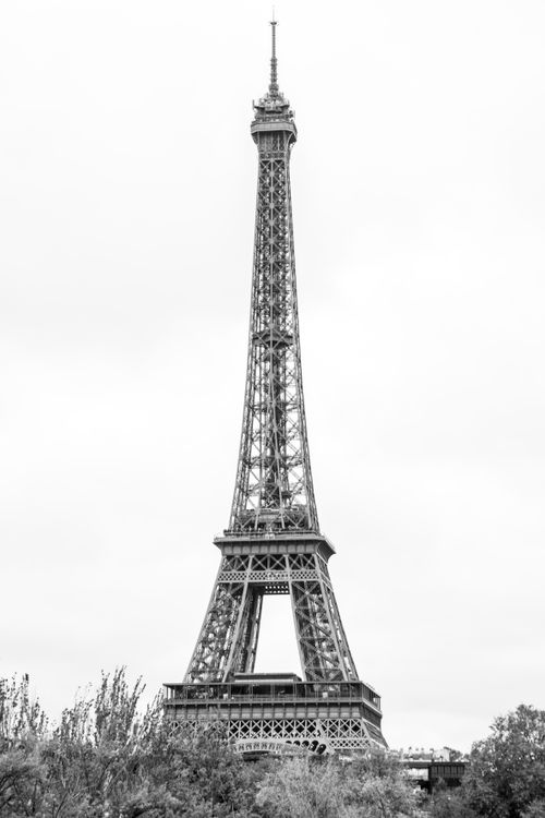 Free Stunning black and white vertical shot of the iconic Eiffel Tower in Paris, France. Stock Photo