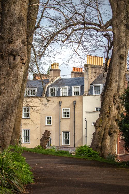 Free Historic European tenement with large trees lining the path in a serene park setting. Stock Photo