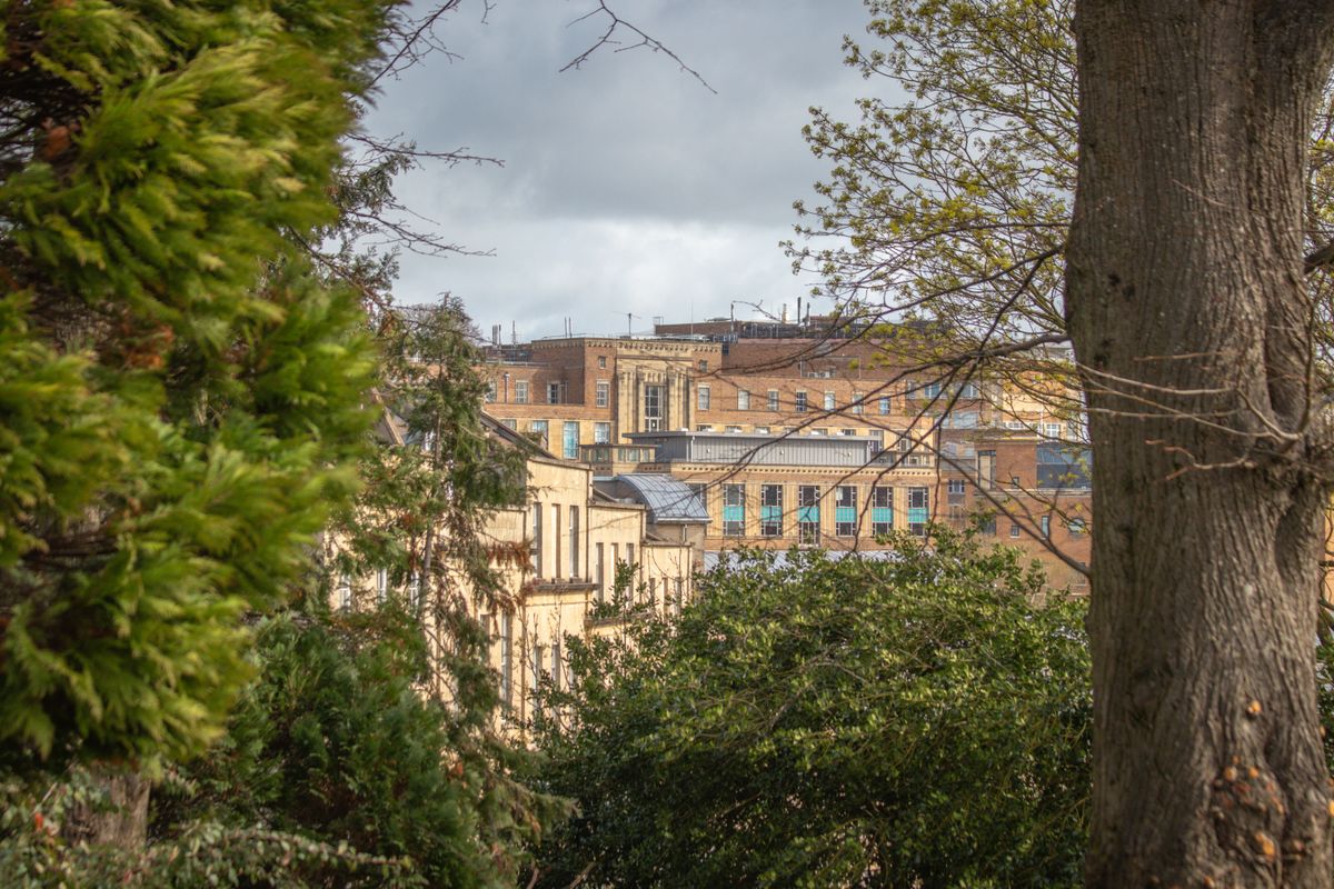 student moves in Lympstone — Student Moves in Lympstone — the working end of the job