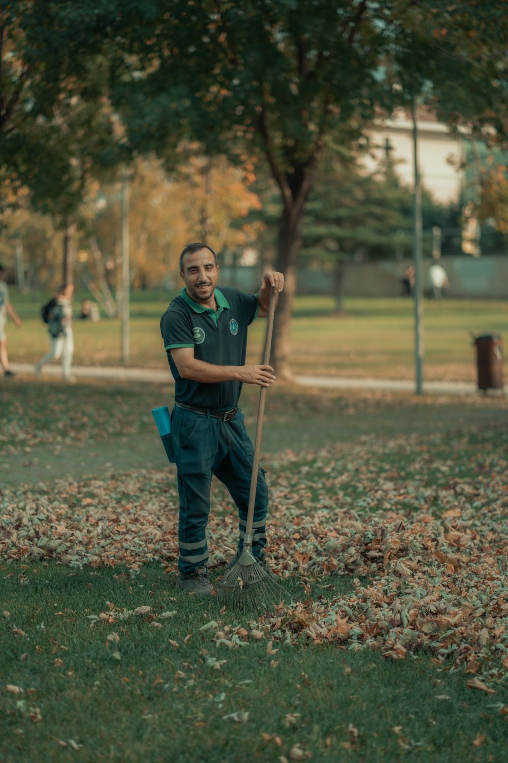 Seasonal Cleanups