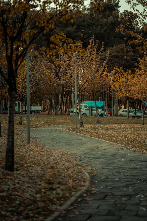 Narrow Pavement in Park in Autumn