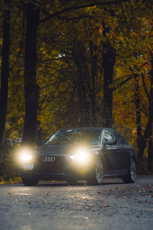 Audi A4 on Road in Forest