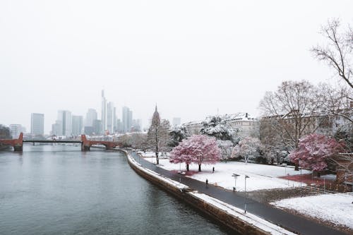 Frankfurt Cityscape with a Snowy River Waterfront
