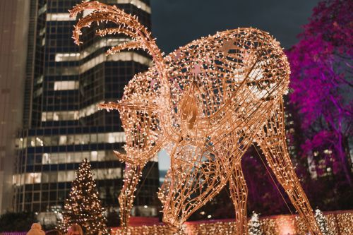 Free A large illuminated reindeer sculpture decorates a city square at night, with holiday lights and trees. Stock Photo