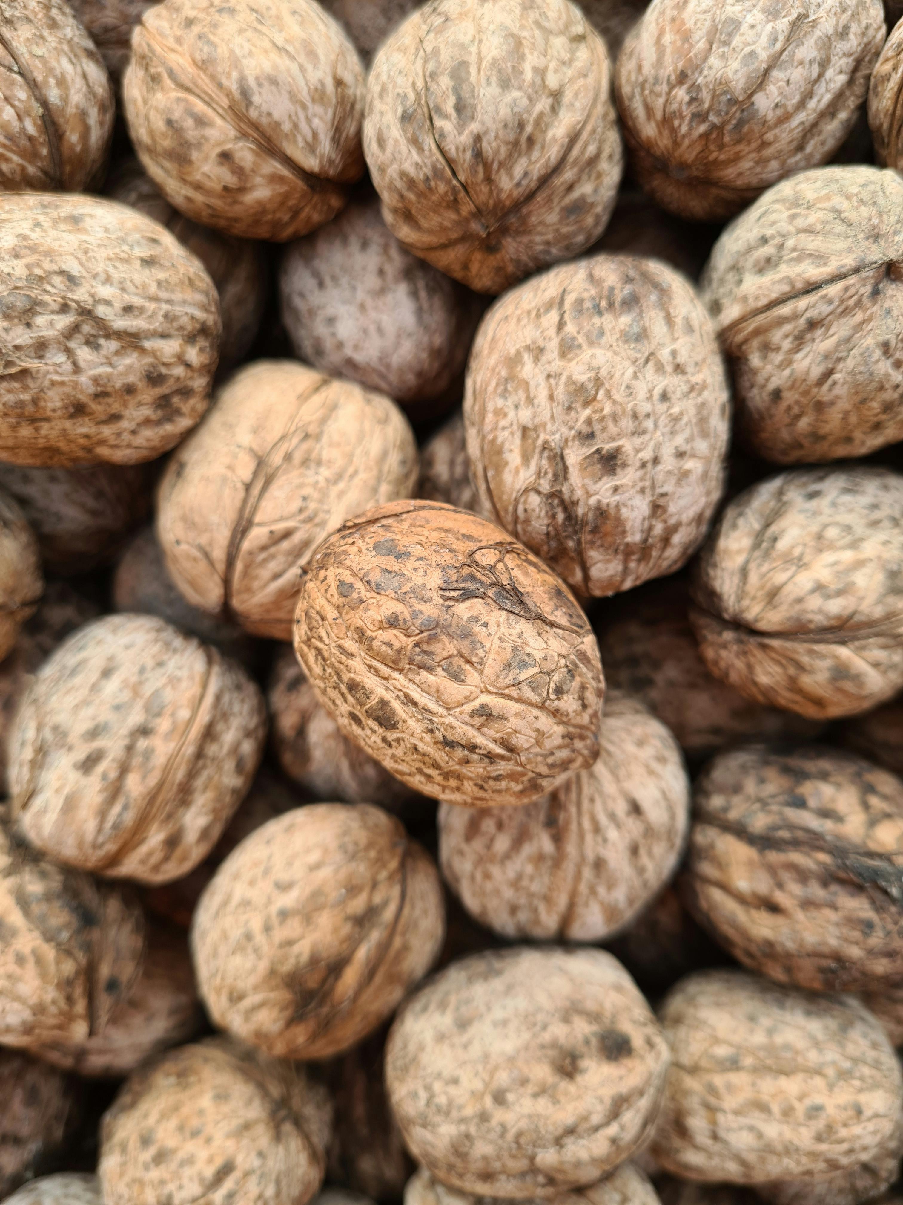 A detailed close-up of multiple walnuts in their shells, offering texture and natural patterns.