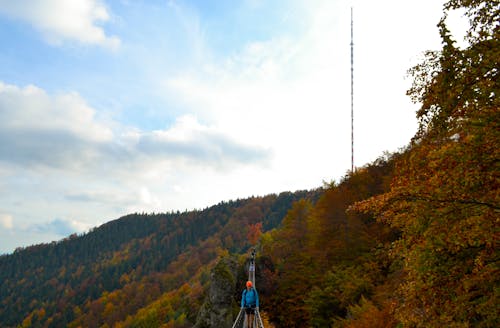 フェラタ, フォレストパーク, 秋にの無料の写真素材