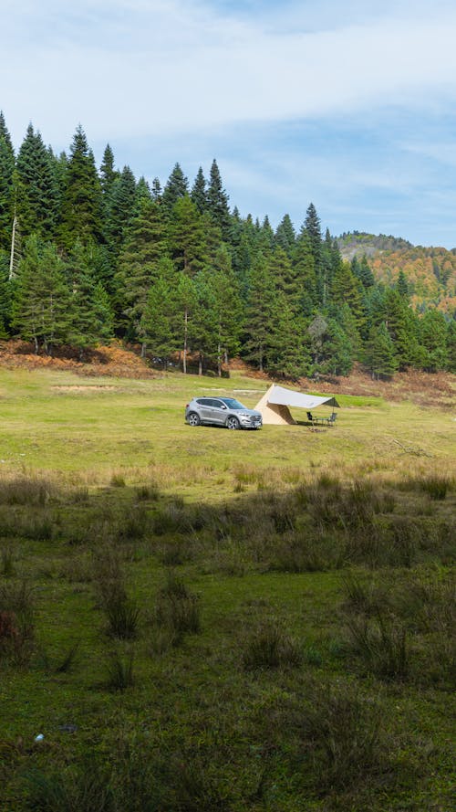 Kostnadsfri bild av läger, natur