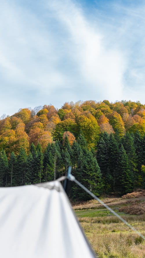 Kostenloses Stock Foto zu lager, mutter natur, natur