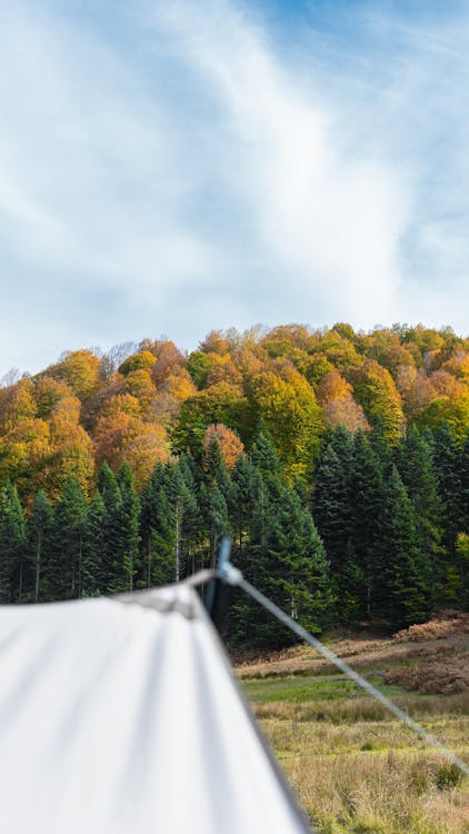 Kostnadsfri bild av läger, moder natur, natur