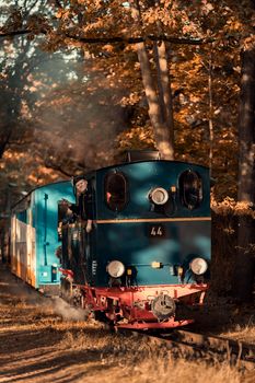 A classic steam locomotive traveling through a vibrant autumn forest, showcasing fall colors.