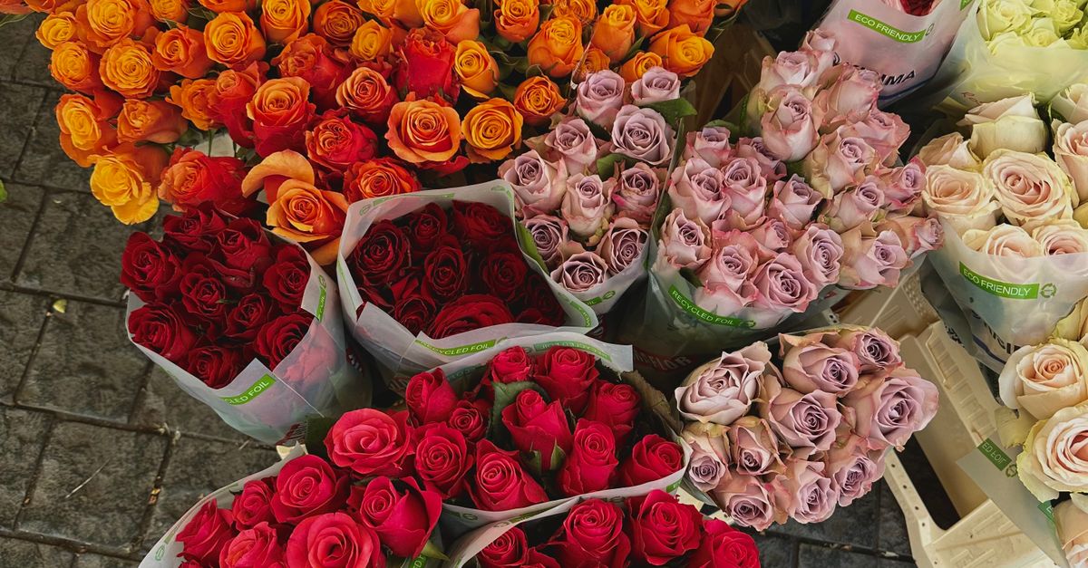 Cut Roses Images Bunches of Various Cut Roses on the Sidewalk · Free Stock Photo