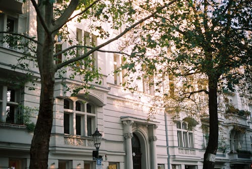 White Facade of a Building with Bay Windows Behind Trees on the Sidewalk