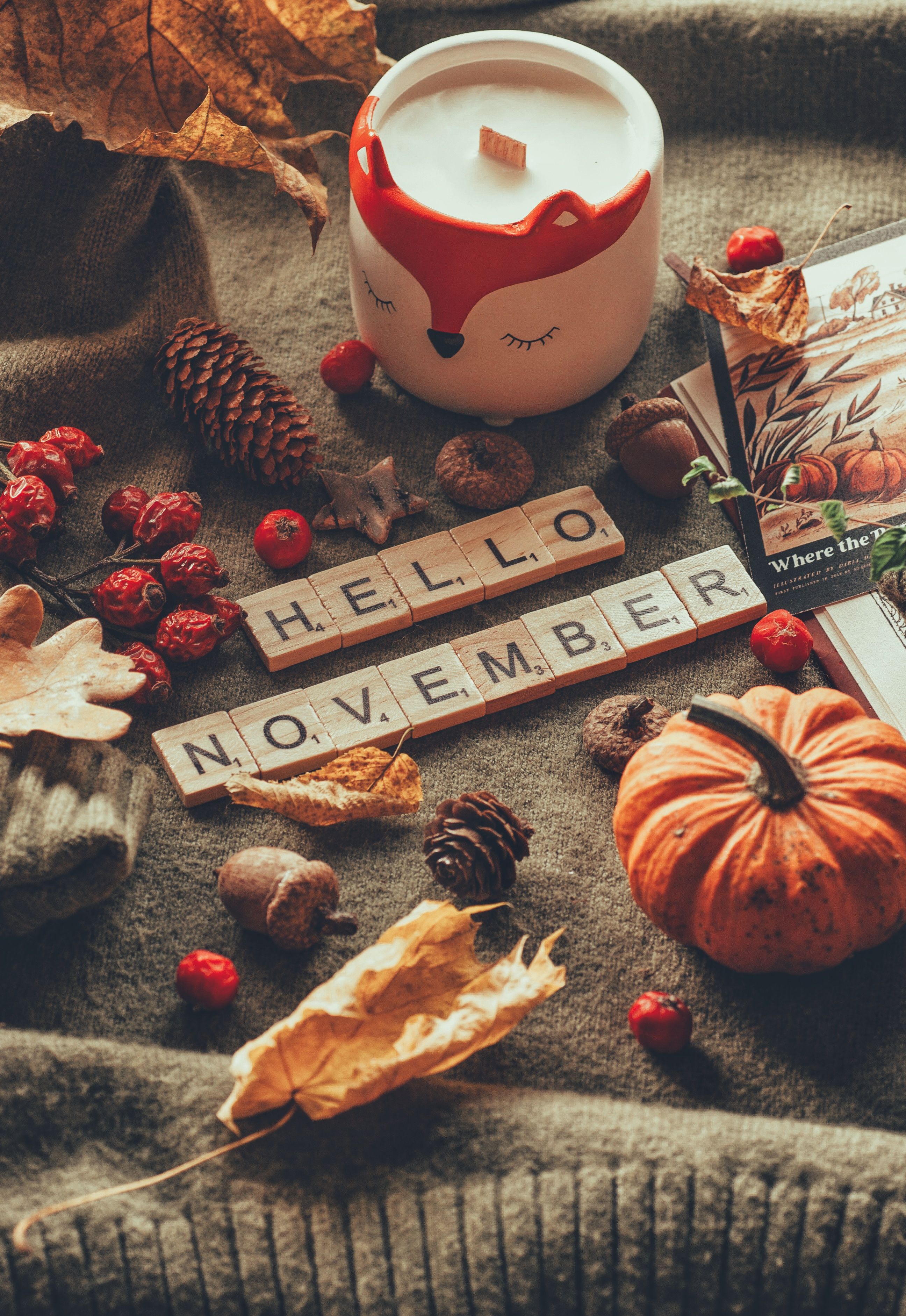 Autumn-themed decor with pumpkin, candle, and 'Hello November' message for seasonal warmth.