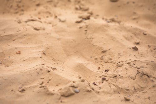 Ingyenes stockfotó aszály, darált, homok témában