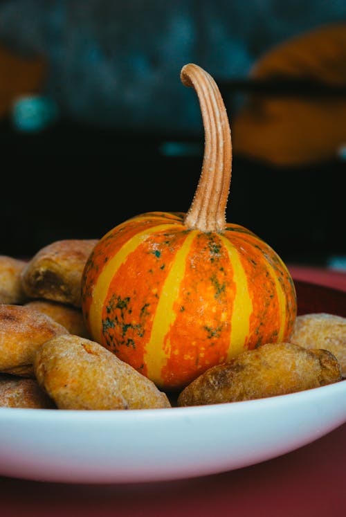 Foto profissional grátis de abóbora, alimento, declínio