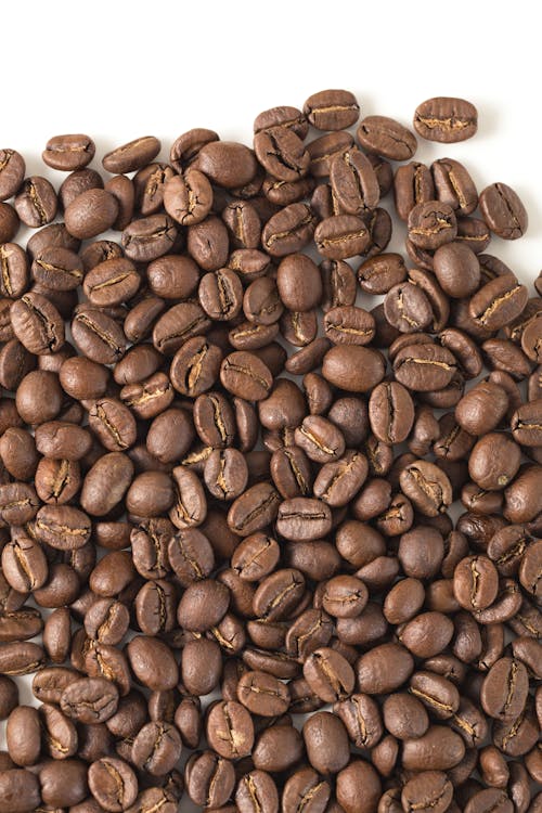 Close up of Coffee Beans