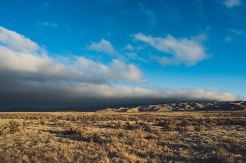 бесплатная Коричневое поле под синим и белым небом Стоковое фото