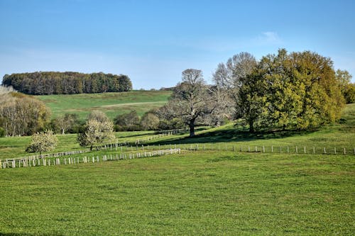 arazi, Çiftlik, çimenlik içeren Ücretsiz stok fotoğraf