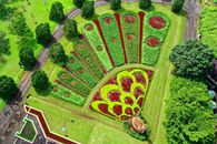 Aerial view of a colorful peacock pattern garden in Sukaresmi, Indonesia.