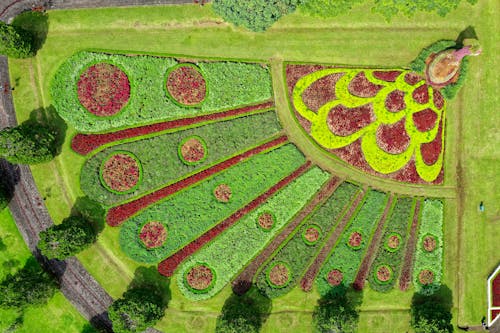 Free Top View Photo of of Peacock Landscape Design Stock Photo