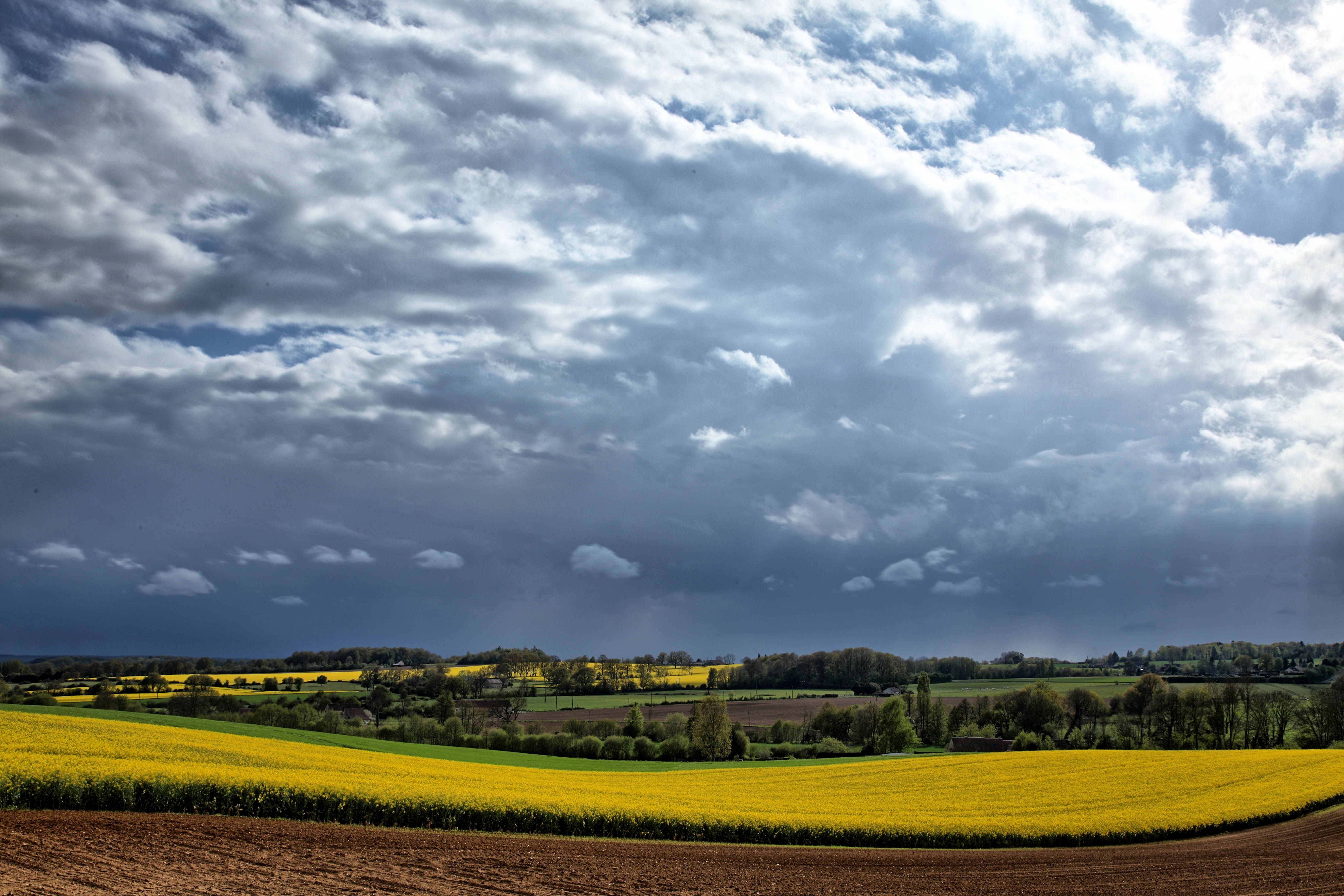 Field on a Countryside · Free Stock Photo