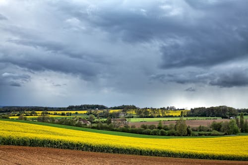 Foto d'estoc gratuïta de camps, núvols de pluja, paisatge