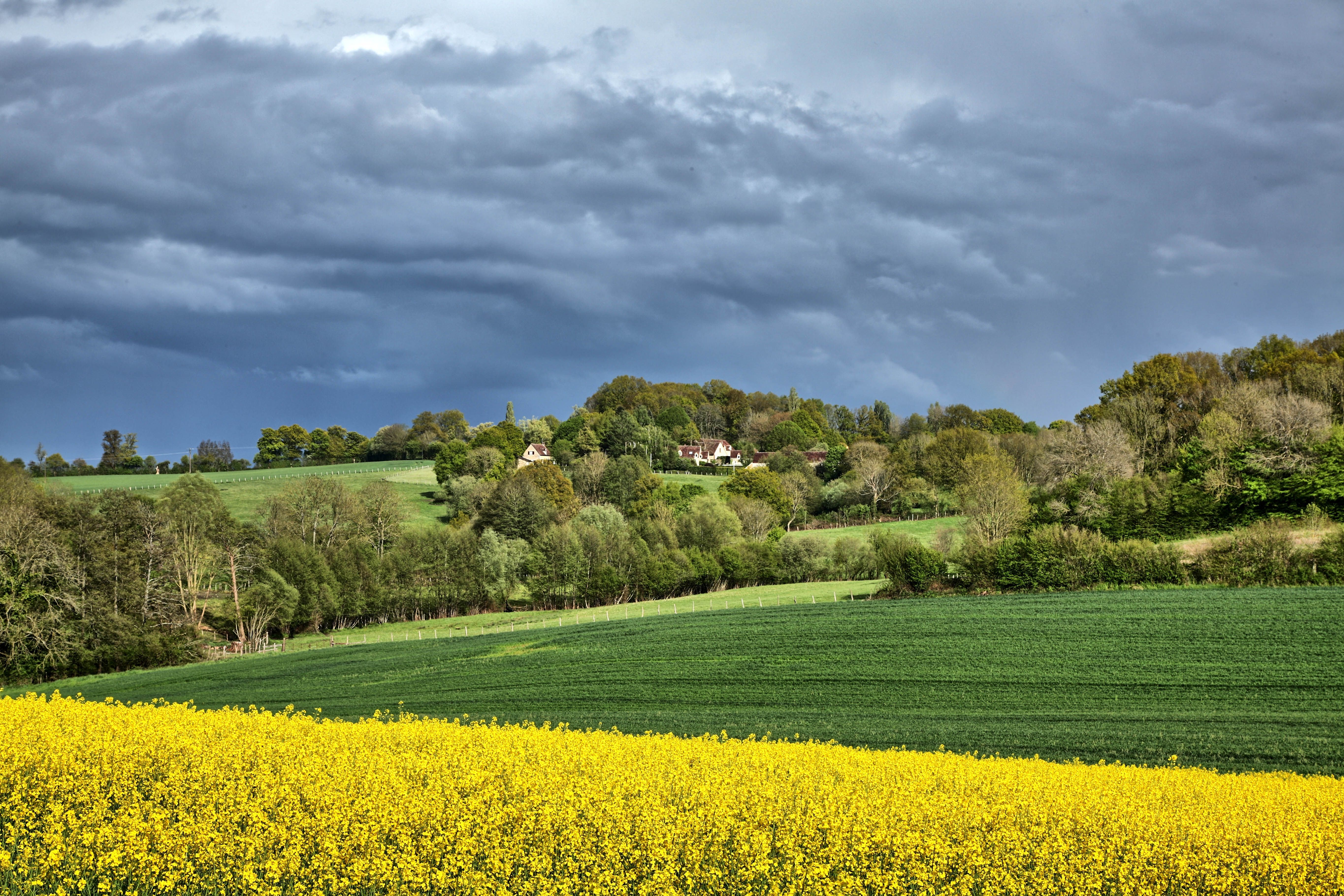 Rain Clouds over Fields · Free Stock Photo