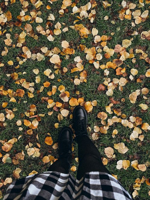 Free Woman standing among autumn leaves in a Berlin park. Stock Photo